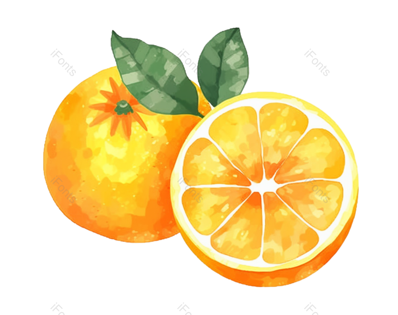 叶子图片,清新元素,夏天PNG,插画免抠素材